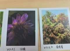 专业照片冲印，多种套餐，任您选择